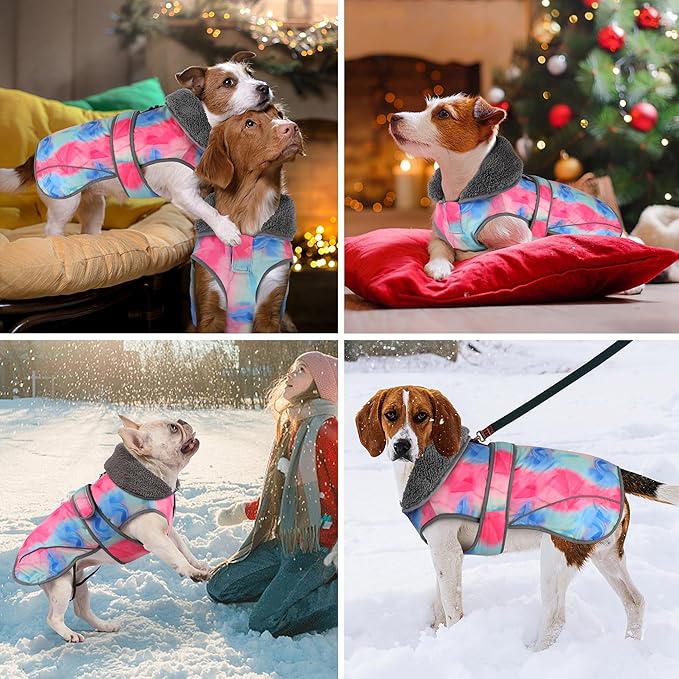 Dogcheer Dog Winter Coat Dogs(Rainbow,2XL)