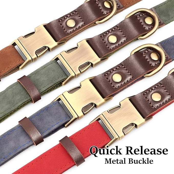 Didog Soft Padded Leather Dog Collars for Medium Dogs