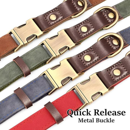 Didog Soft Padded Leather Dog Collars for Medium Dogs