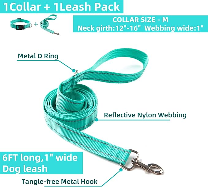 Dog Collar and Leash Set for Small