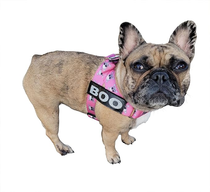 BULLHUG Harness – Made for Larger Chested Dogs Like English Bulldogs