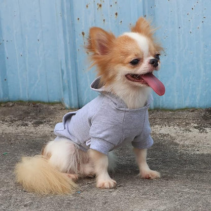 LOPHIPETS Lightweight Cotton Hoodie for Small Dogs –