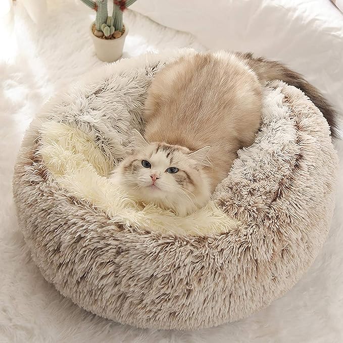 Geizire Dog Bed & Cat Bed