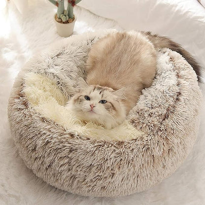 Geizire Small Dog Bed & Cat Bed