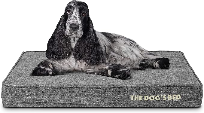 The Dog’s Bed Orthopedic Memory Foam Dog Bed
