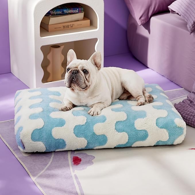 Lesure Dog Bed Medium Size Dog-Thick Shredded Chopped Foam Pet Bed Bottom(30'x20', Blue