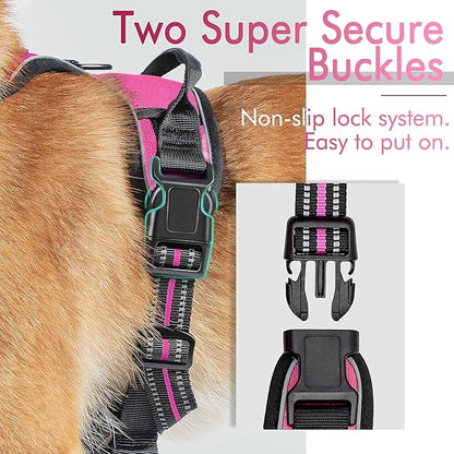 rabbitgoo Dog Harness 2 Leash