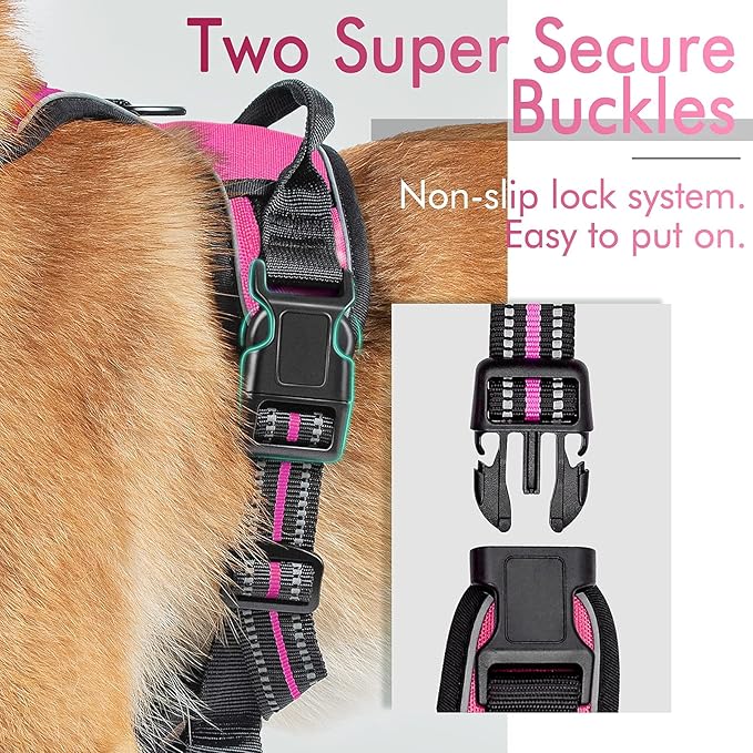 rabbitgoo Dog Harness, No-Pull Pet Harness with 2 Leash Clips, Adjustable Soft Padded Dog Vest, Reflective No-Choke Pet Oxford Vest with Easy Control Handle for Large Dogs, Hot Pink, XL