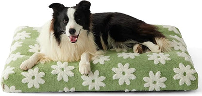 Lesure Large Dog Beds-Thick Shredded Chopped Foam Pet Bed Bottom(36'x27', Green)