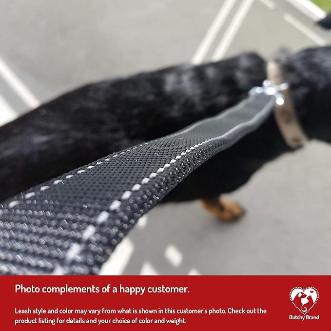 Ultra Strong Dog Car Tether