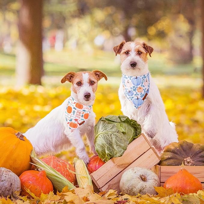 ADOGGYGO Thanksgiving Dog Bandana