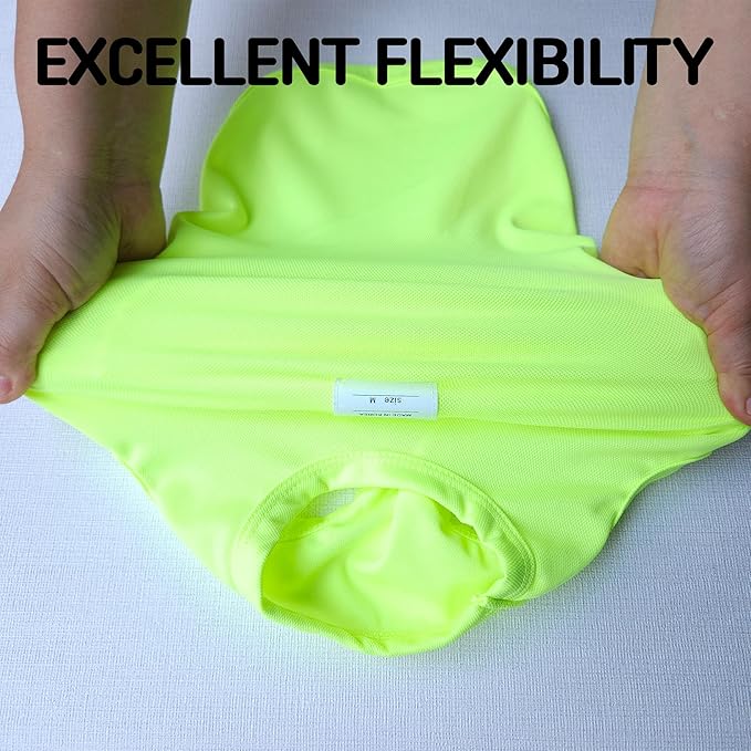 Dachshund Clothes for Dogs Mini and Adults Neon T Shirts (M