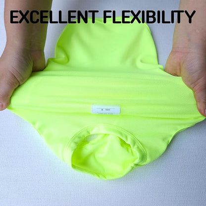 Dachshund Clothes for Dogs Mini and Adults Neon T Shirts (L