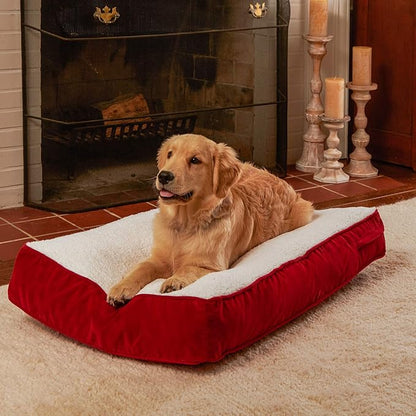 South Pine Porch Buddy Rectangle Pillow Style Dog Bed (24" x 36")