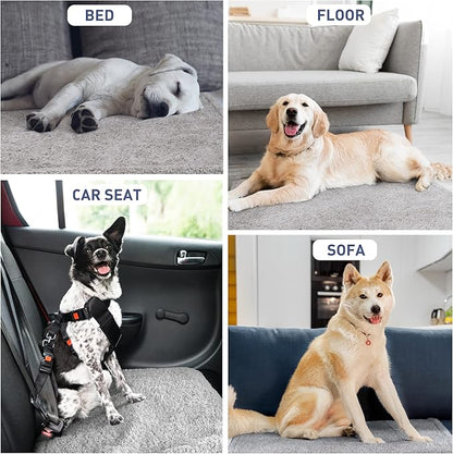 Kritter Planet Waterproof Sofa Blanket for Dogs