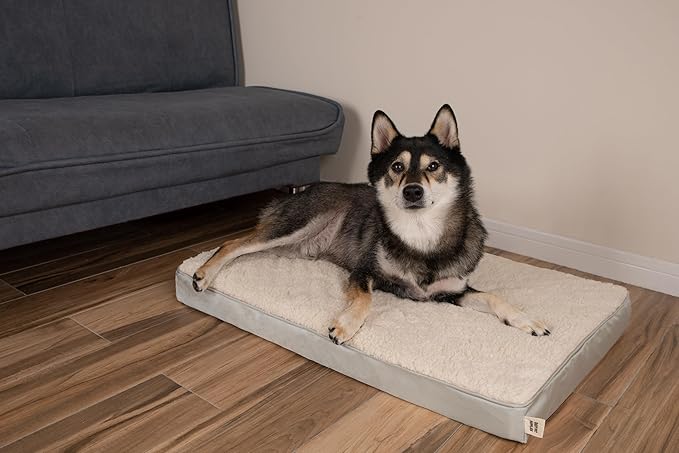 Best Pet Supplies Cute Dog Bed Mat Flat Mattress with Waterproof Exterior 35X22X4