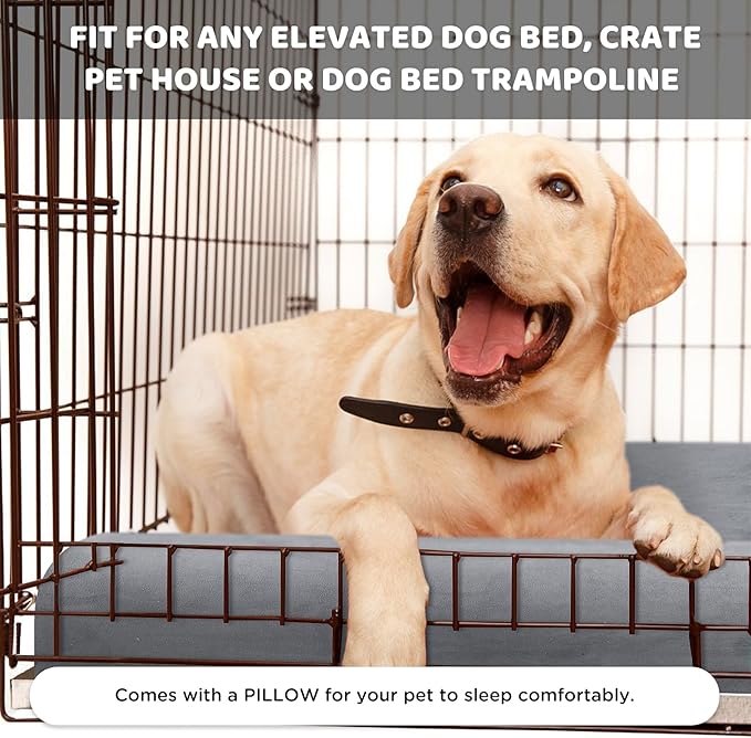 Orthopedic Dog Bed 32x20.7 Foam