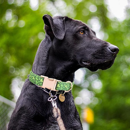 Cotton Dog Collar Metal Buckle Daisy Summer clover2, S(10-14in))