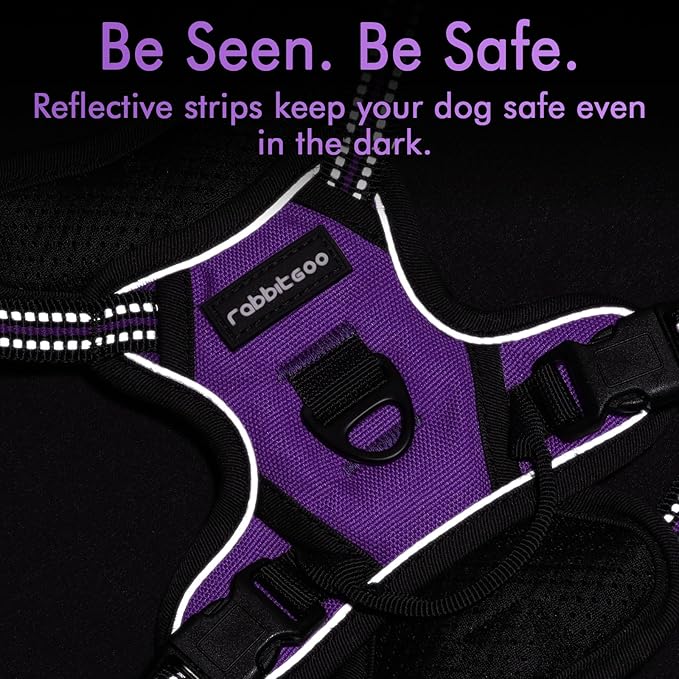 rabbitgoo Dog Harness 2 Leash