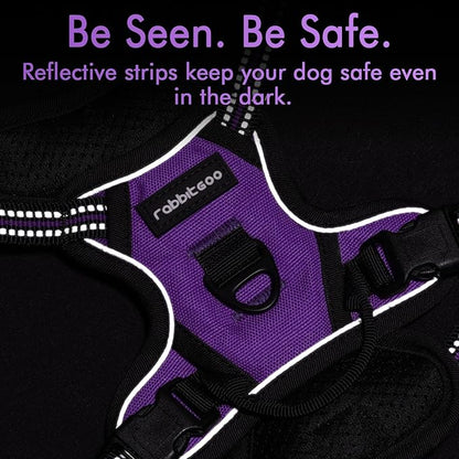 rabbitgoo Dog Harness 2 Leash