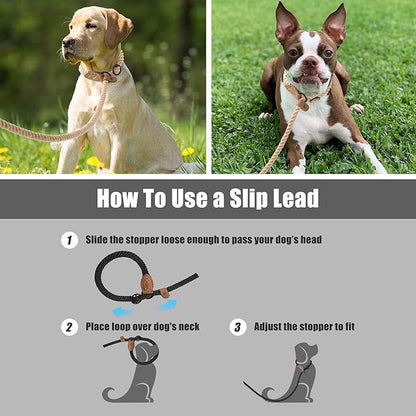 Mile High Life Slip Leads for Dogs 6 Feet