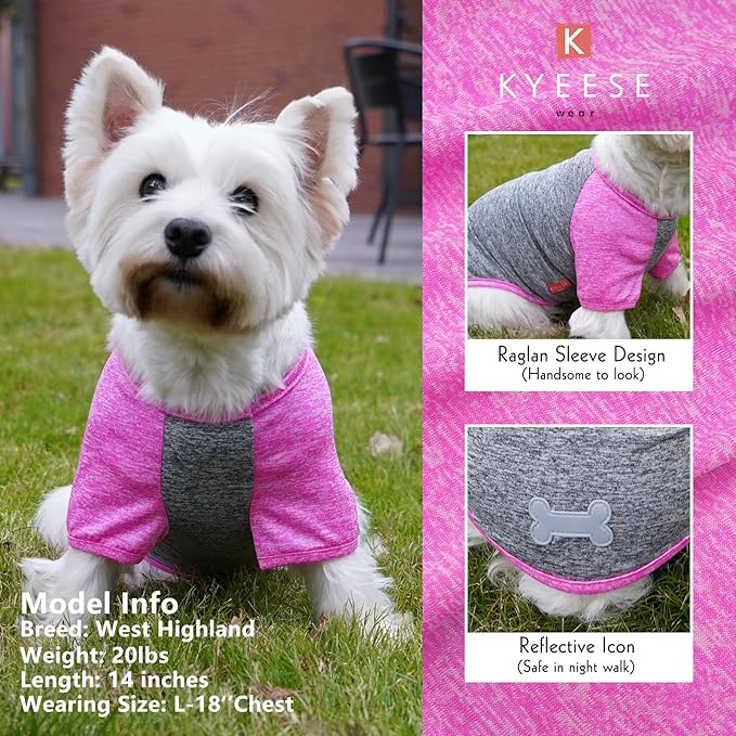 KYEESE 2 Pack Dog Shirts Quick Dry Raglan