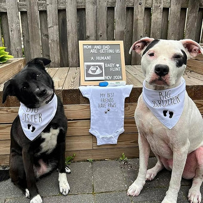 Blank Dog Bandanas Small -3PCS