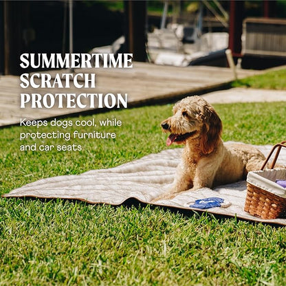 PupProtector Waterproof Throw Blanket for Dogs and Cats (60" L 50" W)