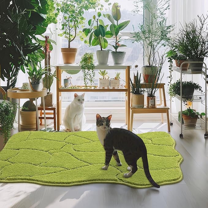 Dog Mat for Muddy Paws 24x36 Inches