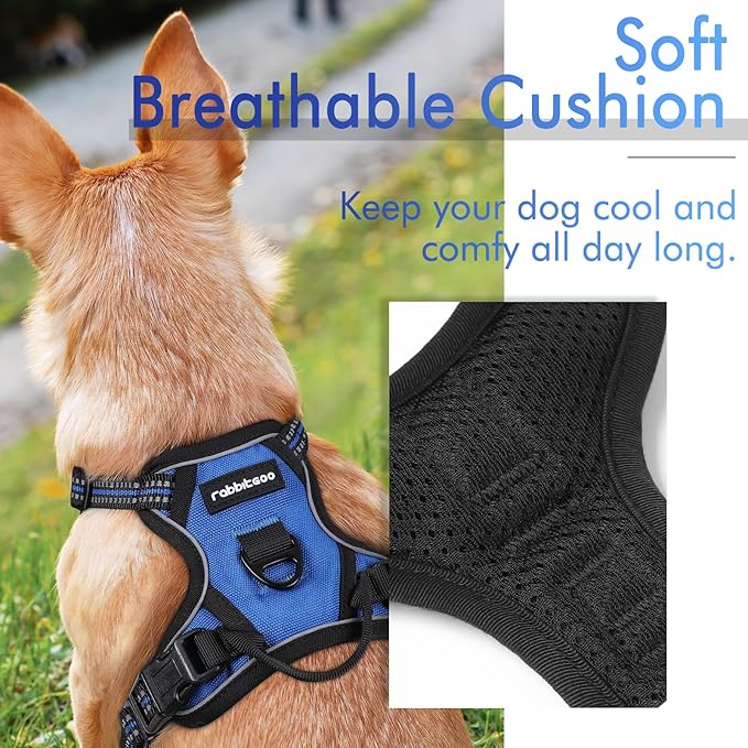 rabbitgoo Dog Harness 2 Leash