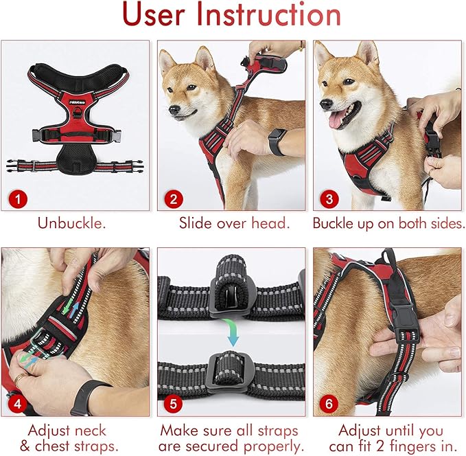 rabbitgoo Dog Harness, No-Pull Pet Harness with 2 Leash Clips, Adjustable Soft Padded Dog Vest, Reflective No-Choke Pet Oxford Vest with Easy Control Handle for Small Dogs, Red, S