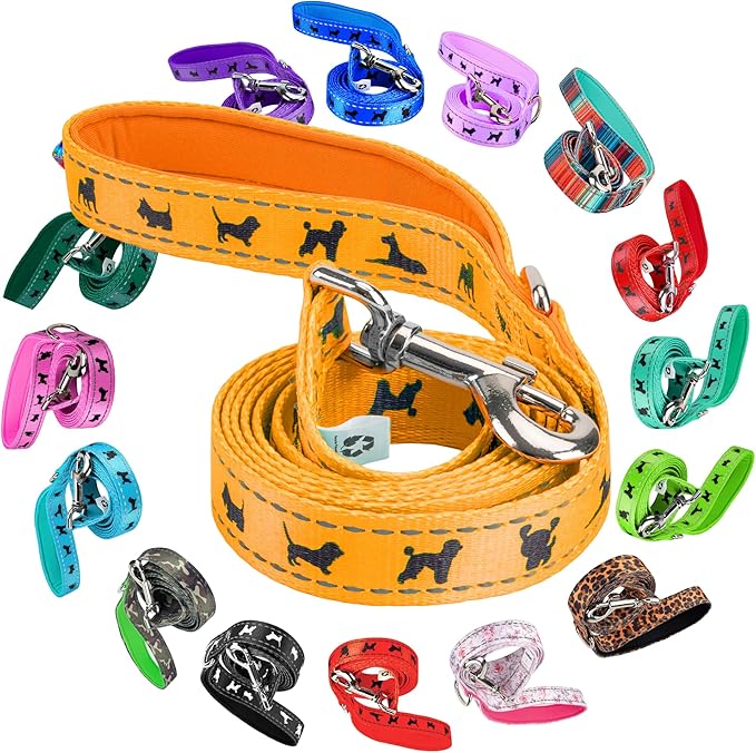 EcoBark Dog Leash