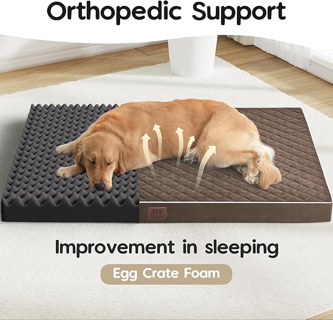 Orthopedic Dog Beds for Large Dogs with Removable Washable Cover 42 inch,