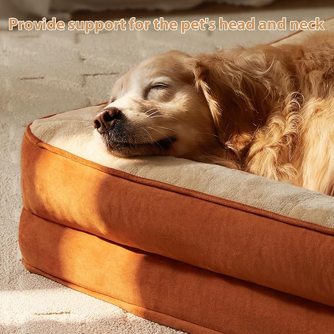 Orthopedic Dog Beds for Extra Large Dogs