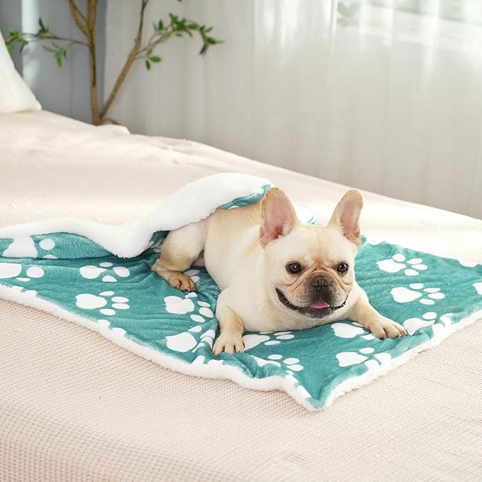 Dog Blanket, Puppy Blanket for Small Dogs Cats, Washable Thick Soft Dog Blankets with Fluffy Premium Pet Blanket Flannel, Dog Paw Printed Blankets, for Pet Bed/Crate/Cat Bag, Green