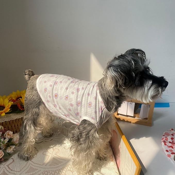 Summer Dog Cotton T Shirt Pet Tee Shirts