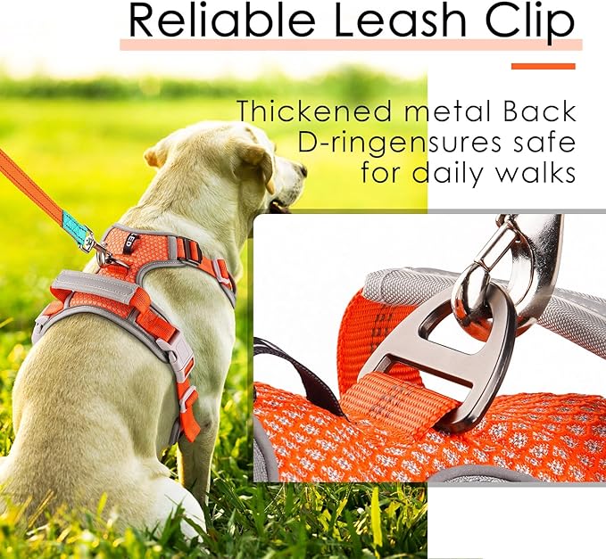 ThinkPet No Pull Harness Breathable Sport Harness with Handle-Dog Harnesses Reflective Adjustable for Medium Large Dogs,Back/Front Clip for Easy Control