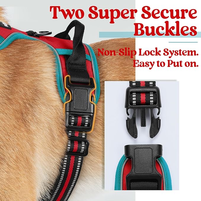 rabbitgoo Dog Harness, No-Pull Pet Harness with 2 Leash Clips, Adjustable Soft Padded Dog Vest, Reflective No-Choke Pet Oxford Vest with Easy Control Handle for Large Dogs, Red & Teal, S