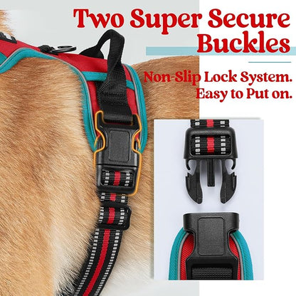 rabbitgoo Dog Harness, No-Pull Pet Harness with 2 Leash Clips, Adjustable Soft Padded Dog Vest, Reflective No-Choke Pet Oxford Vest with Easy Control Handle for Large Dogs, Red & Teal, M