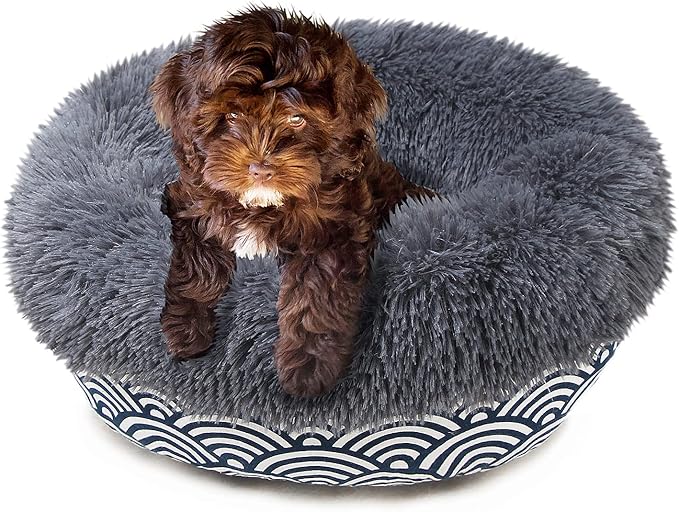 Modern Dog Bed Dog Beds for Small Dogs 19 inches 15 lbs