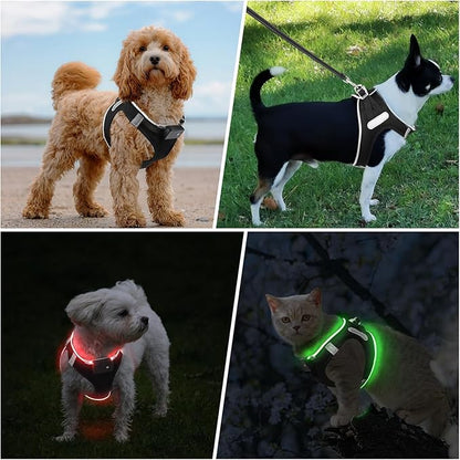 PcEoTllar Light Up Dog Harness, LED Dog Harness for Puppy Small Medium Dogs, Rechargeable No Pull Reflective Dog Harness, Flashing Lighted Dog Harness for Night Walking (Red,L)