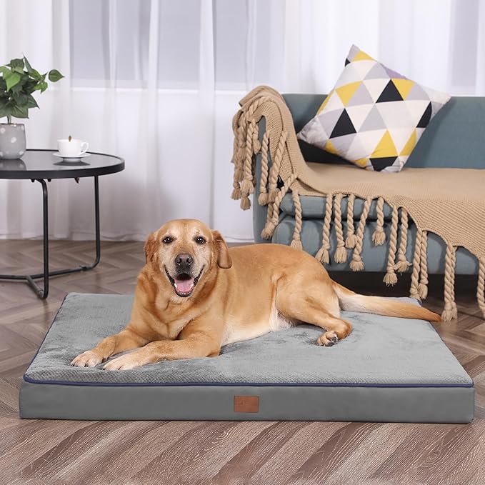 Bedfolks 4" Thick Orthopedic Dog Bed for Jumbo Dogs