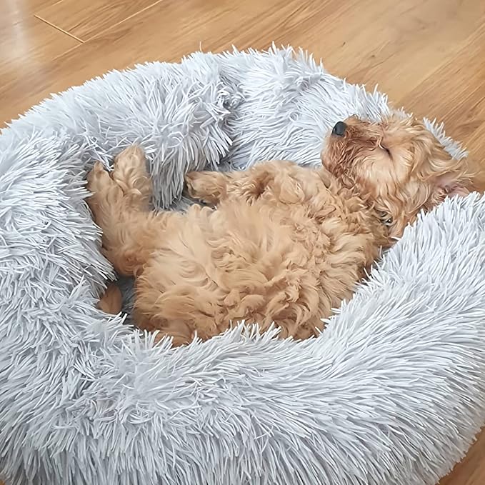 Calming Dog Bed for Small Dogs Round Fluffy