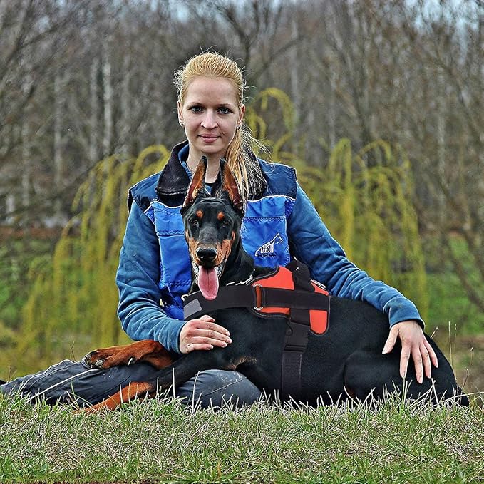 Bolux Dog Harness, No-Pull Reflective Dog Vest, Breathable Adjustable Pet Harness with Handle for Outdoor Walking - No More Pulling, Tugging or Choking (Orange, M)