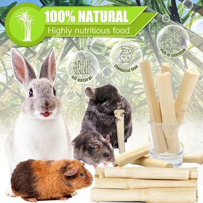 100g Natural Sweet Bamboo Chew Toys for Teeth,Rabbits Bamboo Sticks,Bunny Molar Treats Snack for Bunny Guinea Pig Chinchillas Guinea Pig Rabbits Hamster Gerbilsquirrel Rat Food (Sweet Bamboo)