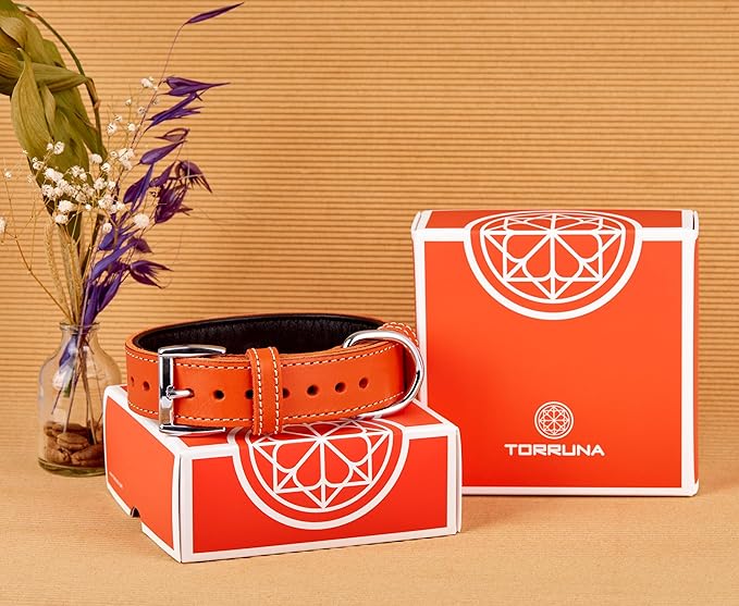 Soft Leather Dog Collar