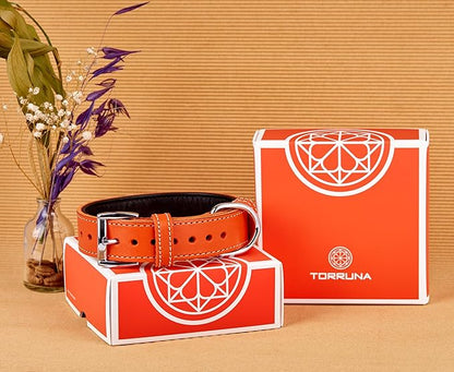 Soft Leather Dog Collar