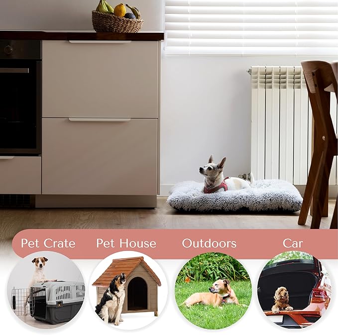 Washable Dog Cat Bed 31L x 21W x 5Th inches)