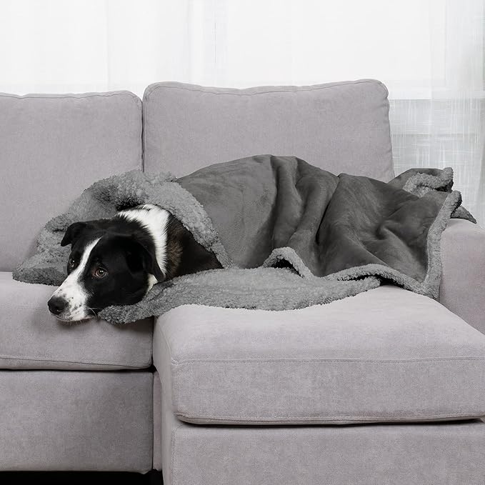 Furhaven Waterproof & Self-Warming Throw Blanket for Dogs & Indoor Cats
