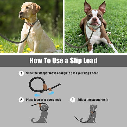 Mile High Life Slip Leads for Dogs 5 Feet